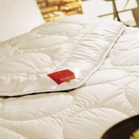 Подушки и одеяла - С шелковым наполнителем - Торговая марка: Brinkhaus - Модель: br30705