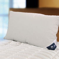 Подушки и одеяла - Пуховые - Торговая марка: HB Bedding - Модель: br30802