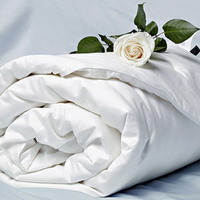 Подушки и одеяла - С шелковым наполнителем - Торговая марка: On Silk - Модель: os30005